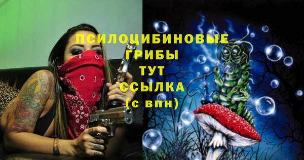 соль ск Вязники